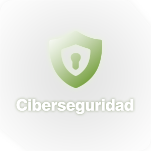 Ciberseguridad